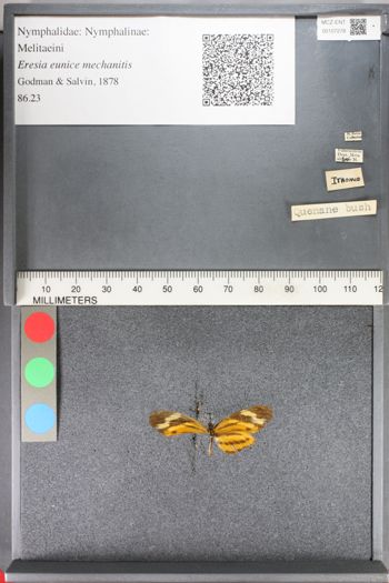 Media type: image;   Entomology 107278